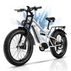 HiKNiGHT H6 Fat Tire Ebike