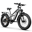 HiKNiGHT H6 Fat Tire Ebike