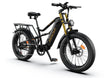 HiKNiGHT H6 Fat Tire Ebike