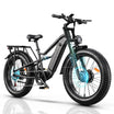 HiKNiGHT H6 Pro Off-Road Ebike
