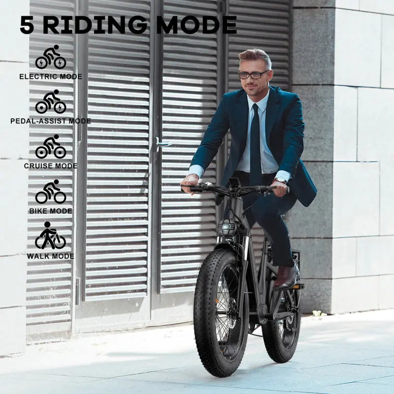 HiKNiGHT H2 Fat Tire Ebike