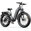 HiKNiGHT H2 Fat Tire Ebike