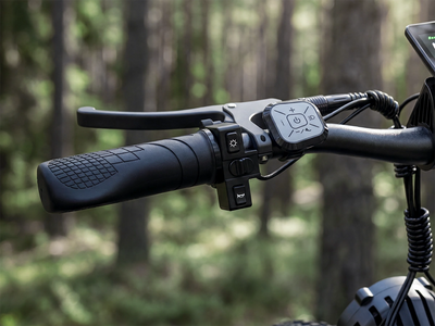 HiKNiGHT H2 Fat Tire Ebike