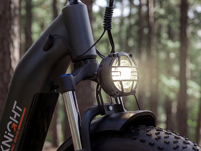 HiKNiGHT H2 Fat Tire Ebike
