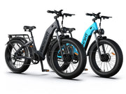 HiKNiGHT Ebike Combo H2pro*2
