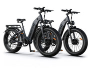 HiKNiGHT Ebike Combo H2pro*2