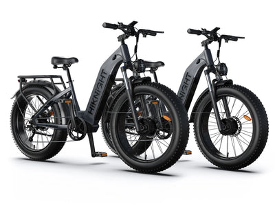 HiKNiGHT Ebike Combo H2pro*2
