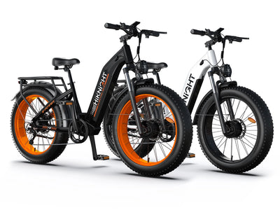 HiKNiGHT Ebike Combo H2pro*2