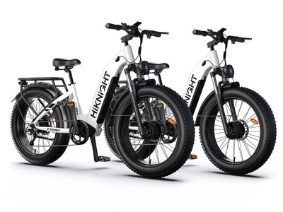 HiKNiGHT Ebike Combo H2pro*2