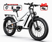 HiKNiGHT H6 Fat Tire Ebike