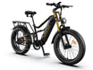 HiKNiGHT H6 Fat Tire Ebike