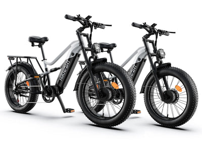 HiKNiGHT Ebike Combo H6pro*2