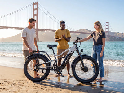 HiKNiGHT H6 Pro Off-Road Ebike