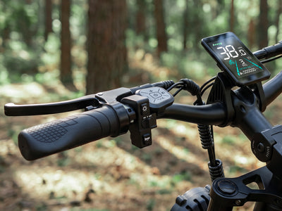 HiKNiGHT H6 Fat Tire Ebike