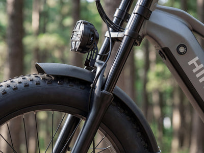 HiKNiGHT H6 Fat Tire Ebike