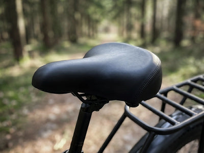 HiKNiGHT H6 Fat Tire Ebike