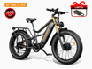 HiKNiGHT H6 Pro Off-Road Ebike